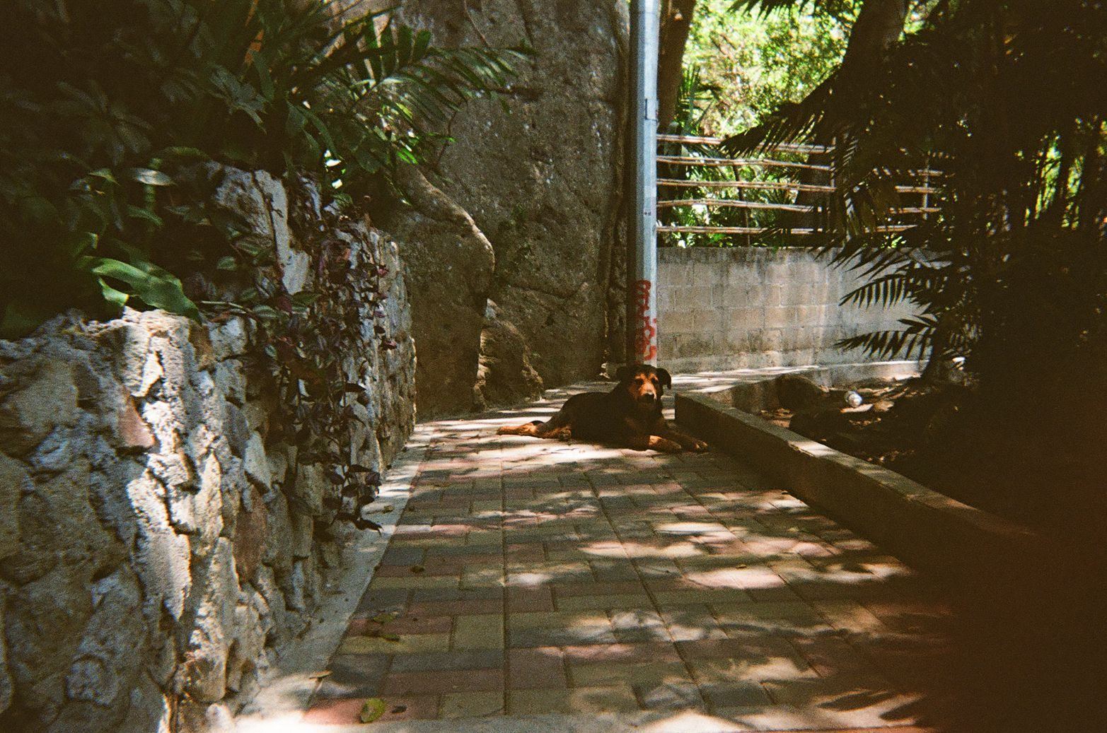 Floating on the still waters of Lake Atitlán
