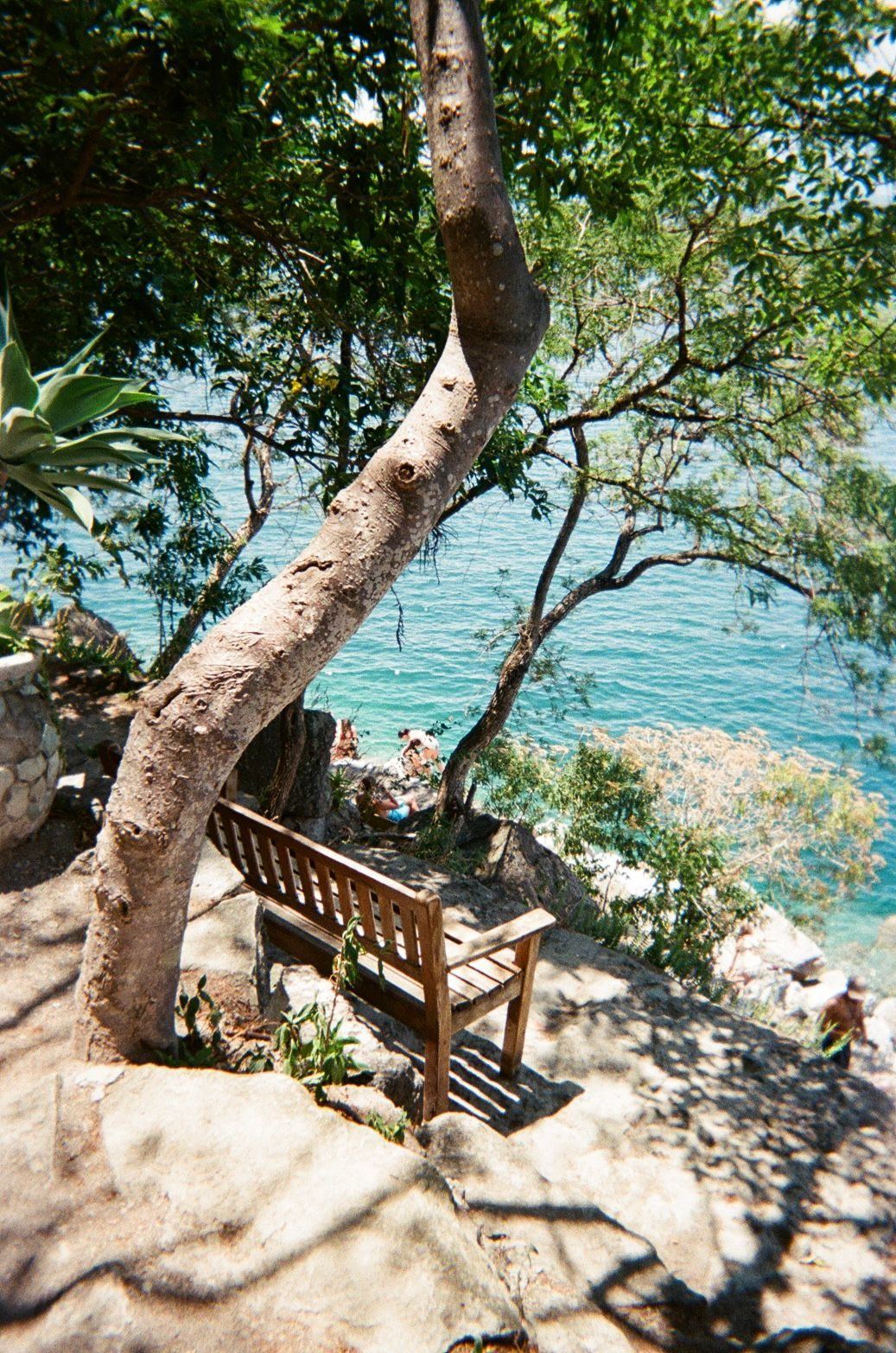 A dock and flag framed by lakeside branches